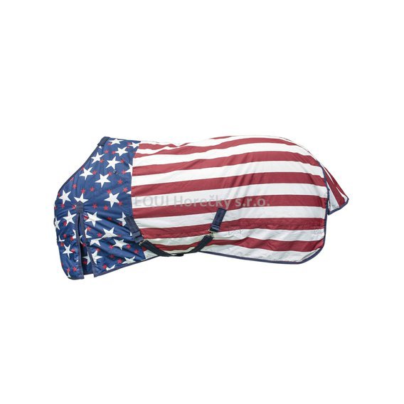 0037300_outdoor-usa-flag-rug-waterproof-breathable-ottawa-model_co00274a.jpeg