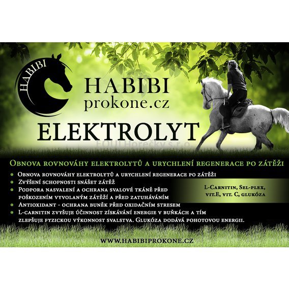 1597259227ELEKTROLYT_NA-ŠIRKU.jpg