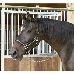 Ohlávka nylonová stájová MUSTANG (různé velikosti, různé barvy)