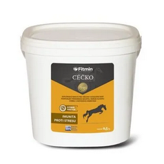 Fitmin Vitamin C 500g